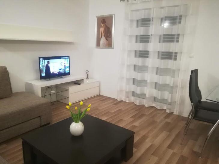 Apartment Dariana Makarska